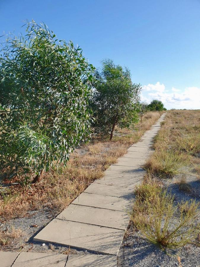 Vila Vista Mare Su Tre Piani Con Giardino Falerna Exteriér fotografie